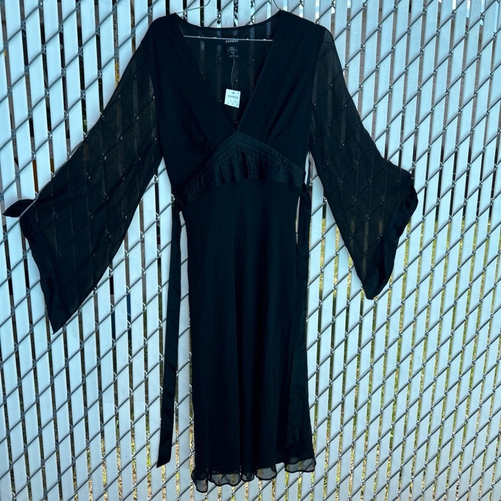 Express Silk Dress Size 6